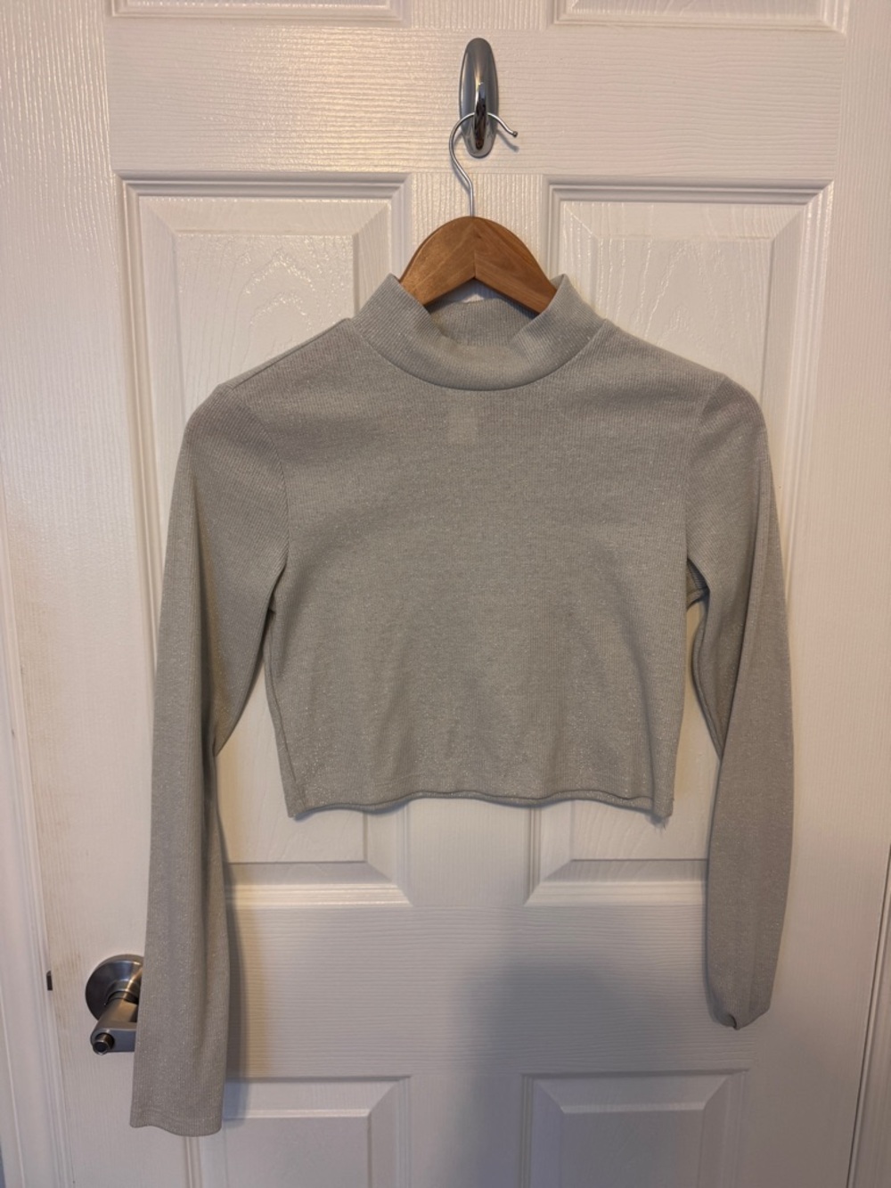 H&M sparkly Silver Cropped Mock Neck Long-Sleeve Top